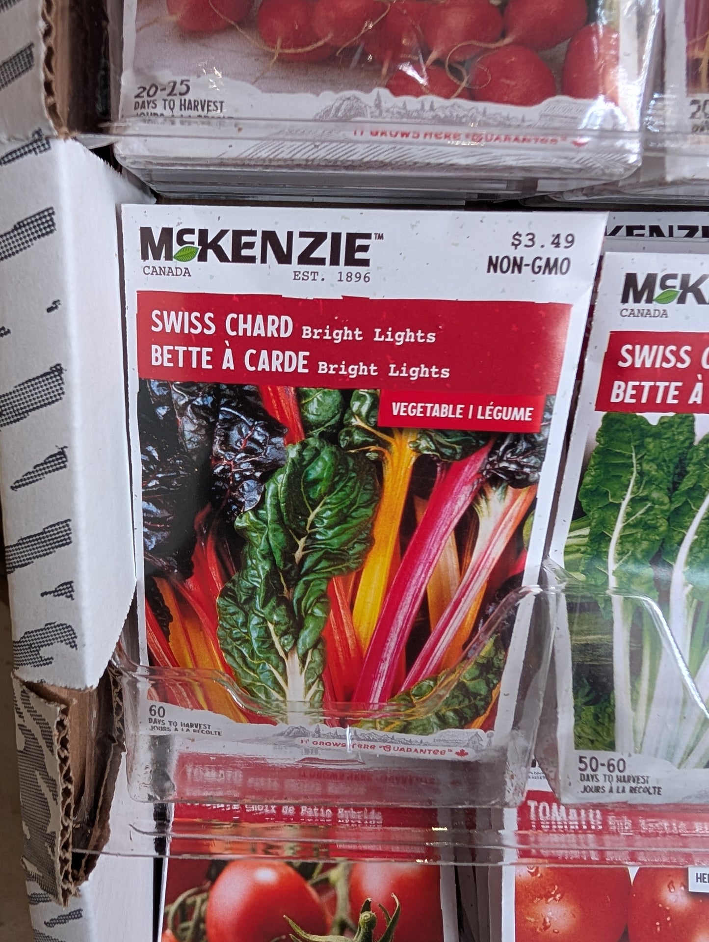 Bright Lights Swiss Chard