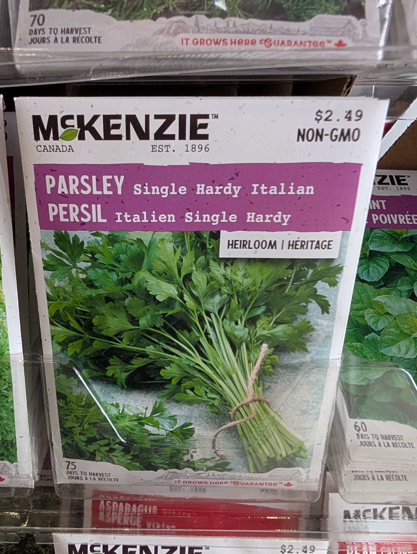 Single Hardy Italian Parsley