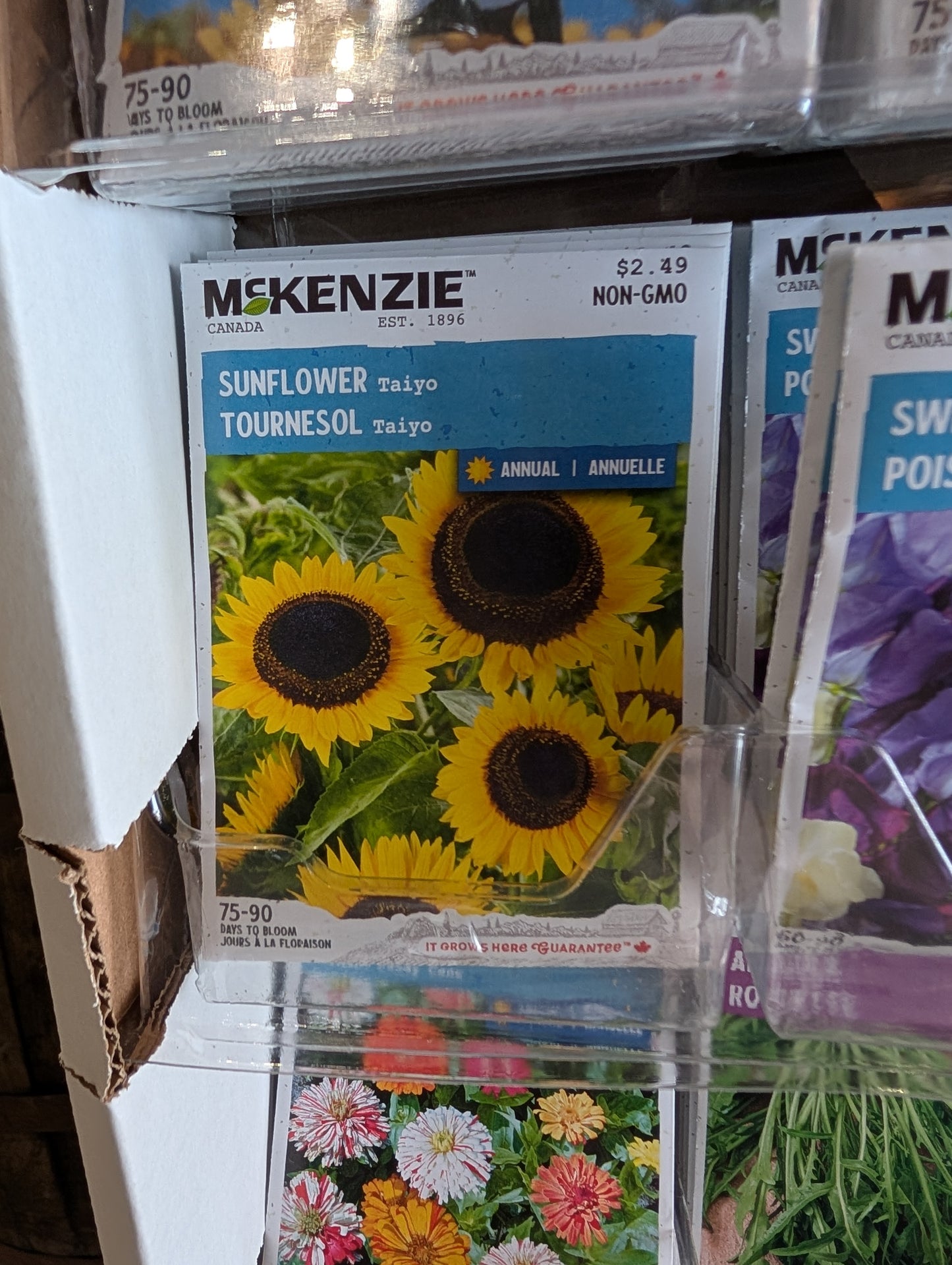 Taiyo Sunflower