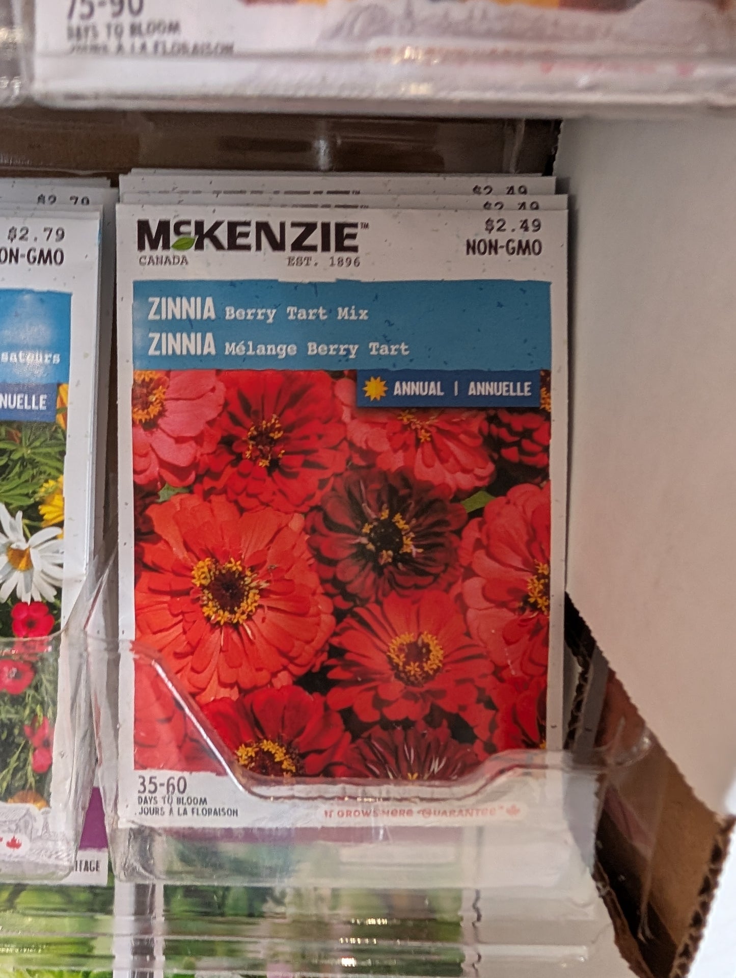Berry Tart Mix Zinnia