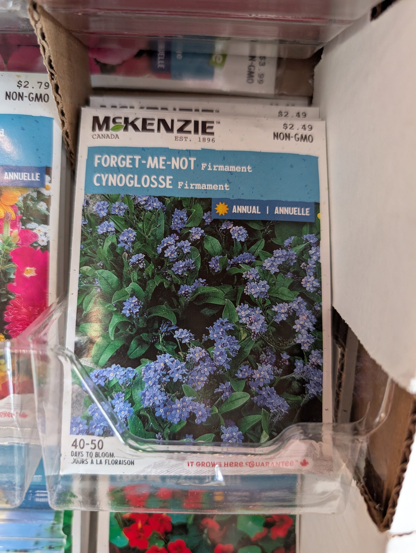 Forget-me-Not Firmament