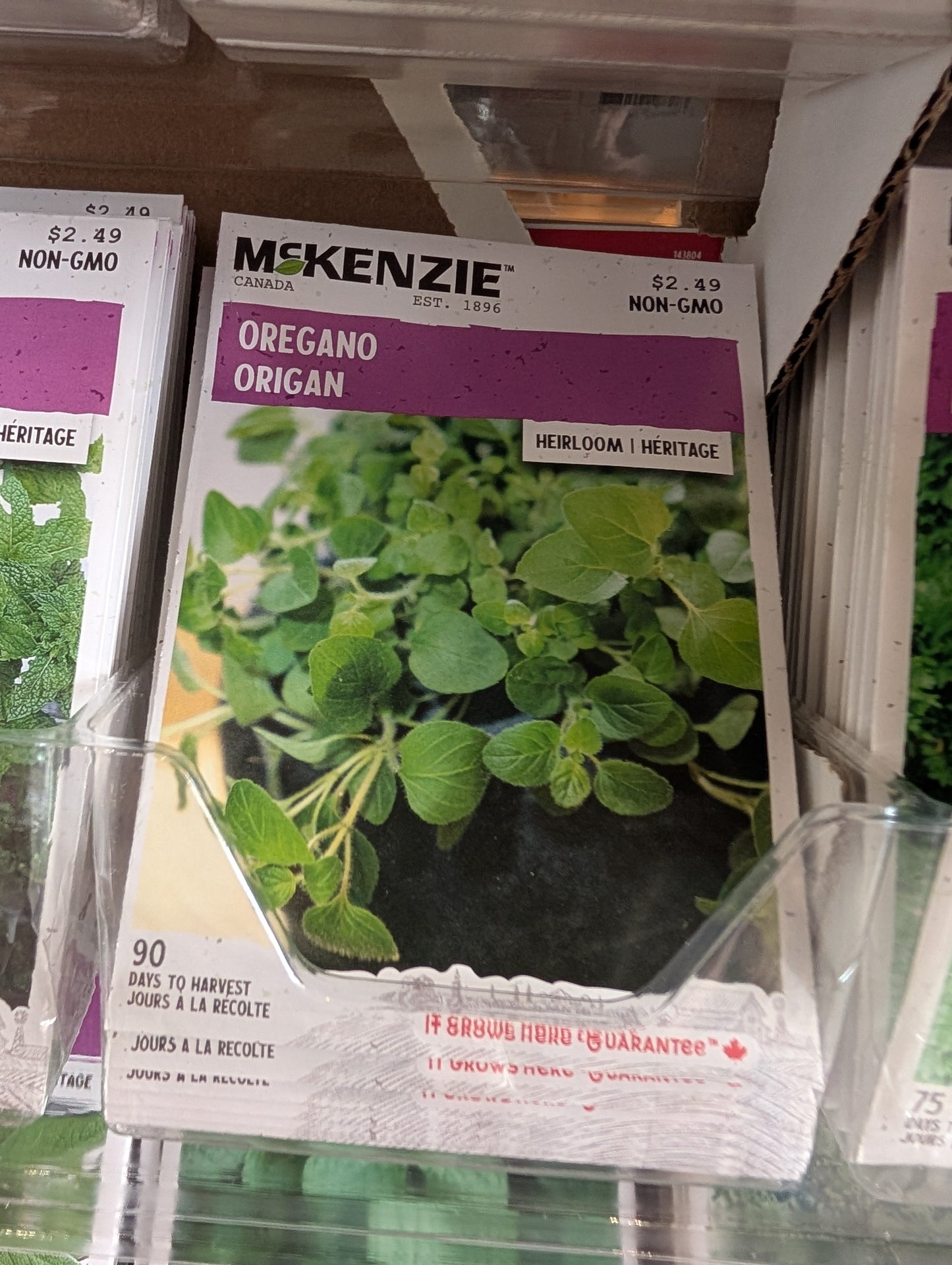 Oregano