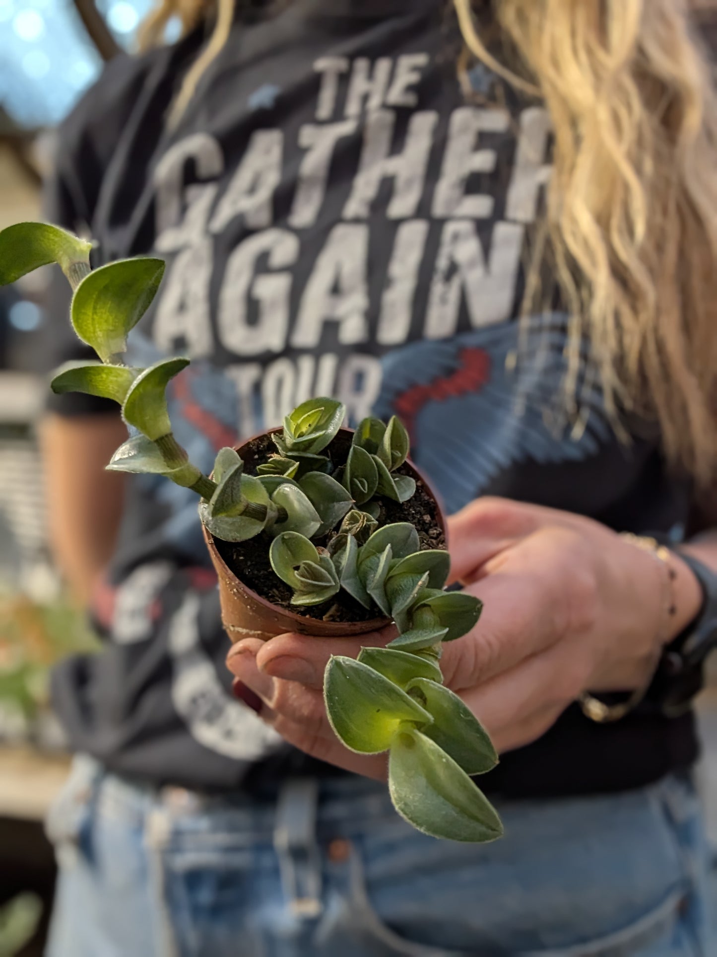 Chain Plant
