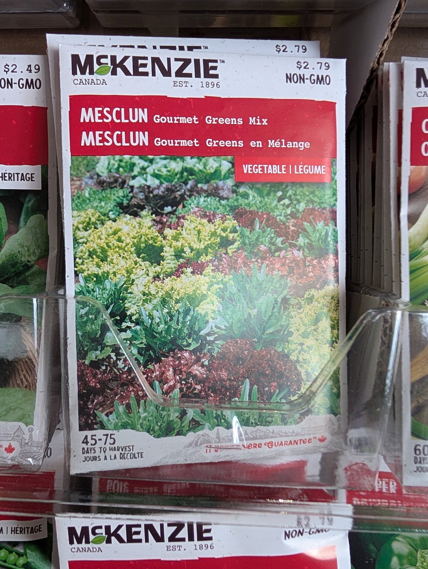 Gourmet Greens Mix Mesculin