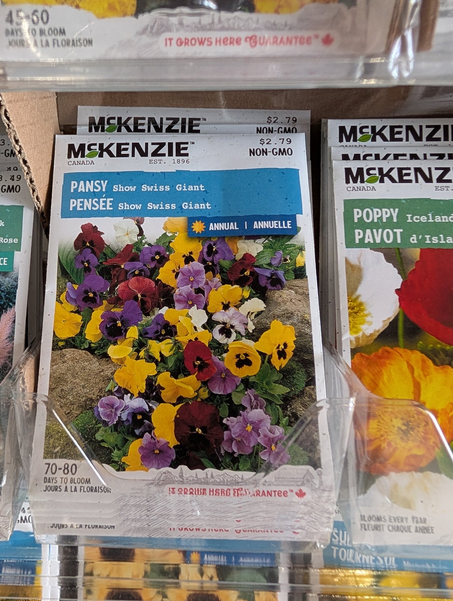 Show Swiss Giant Pansy