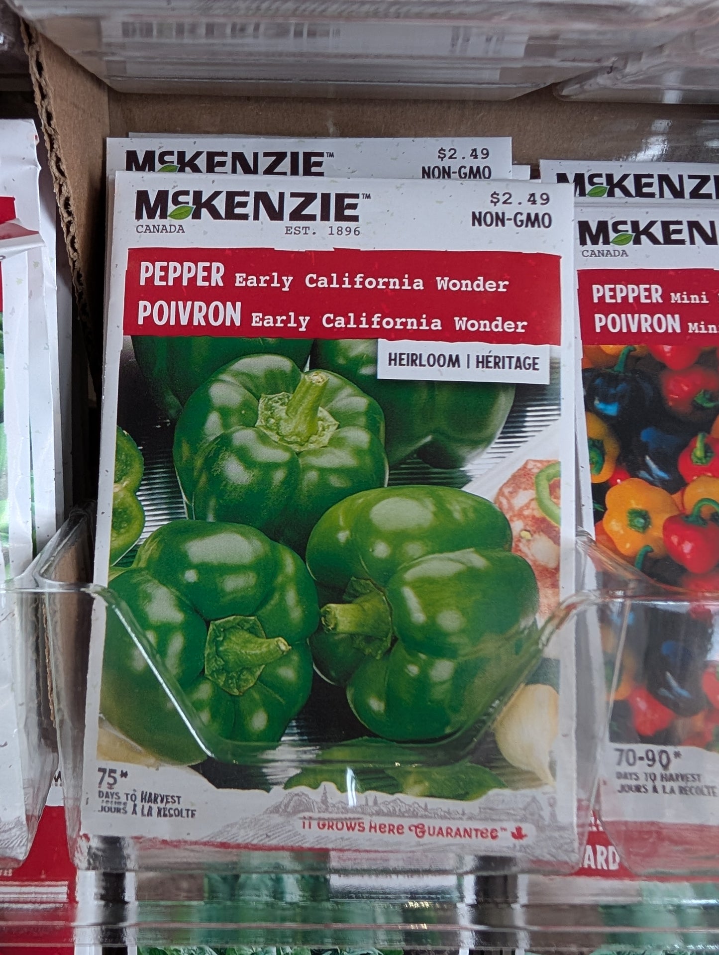 Early California Wonder Pepper