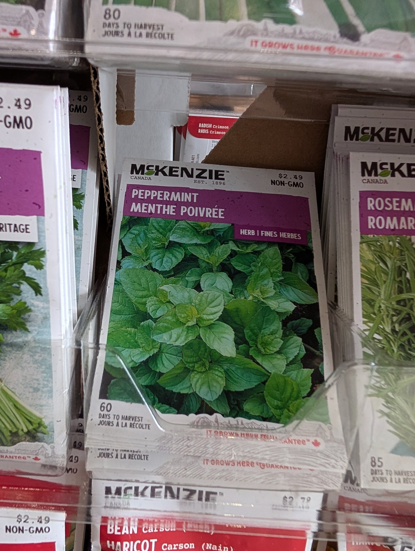 Peppermint