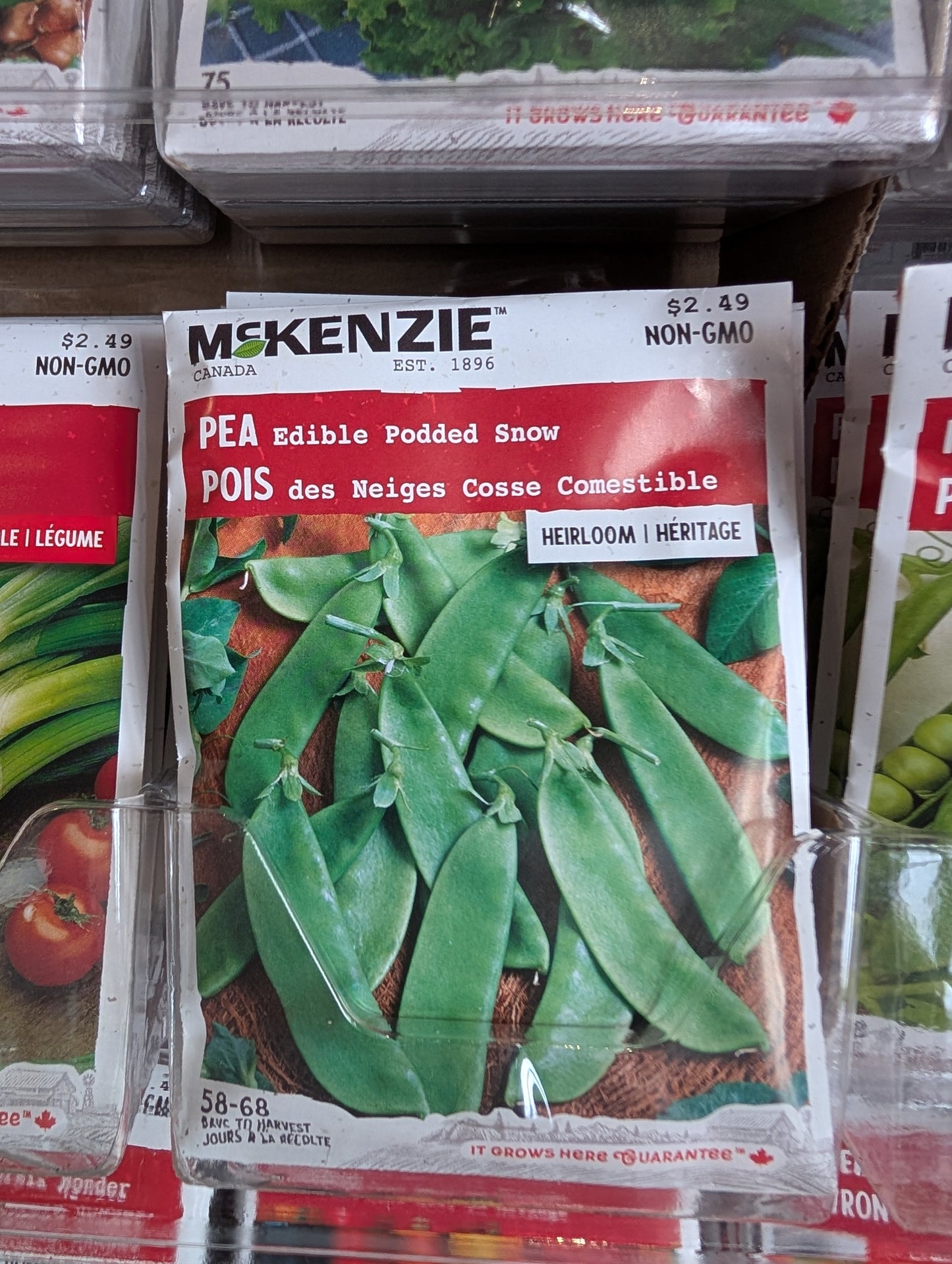 Edible Podded Snow Pea