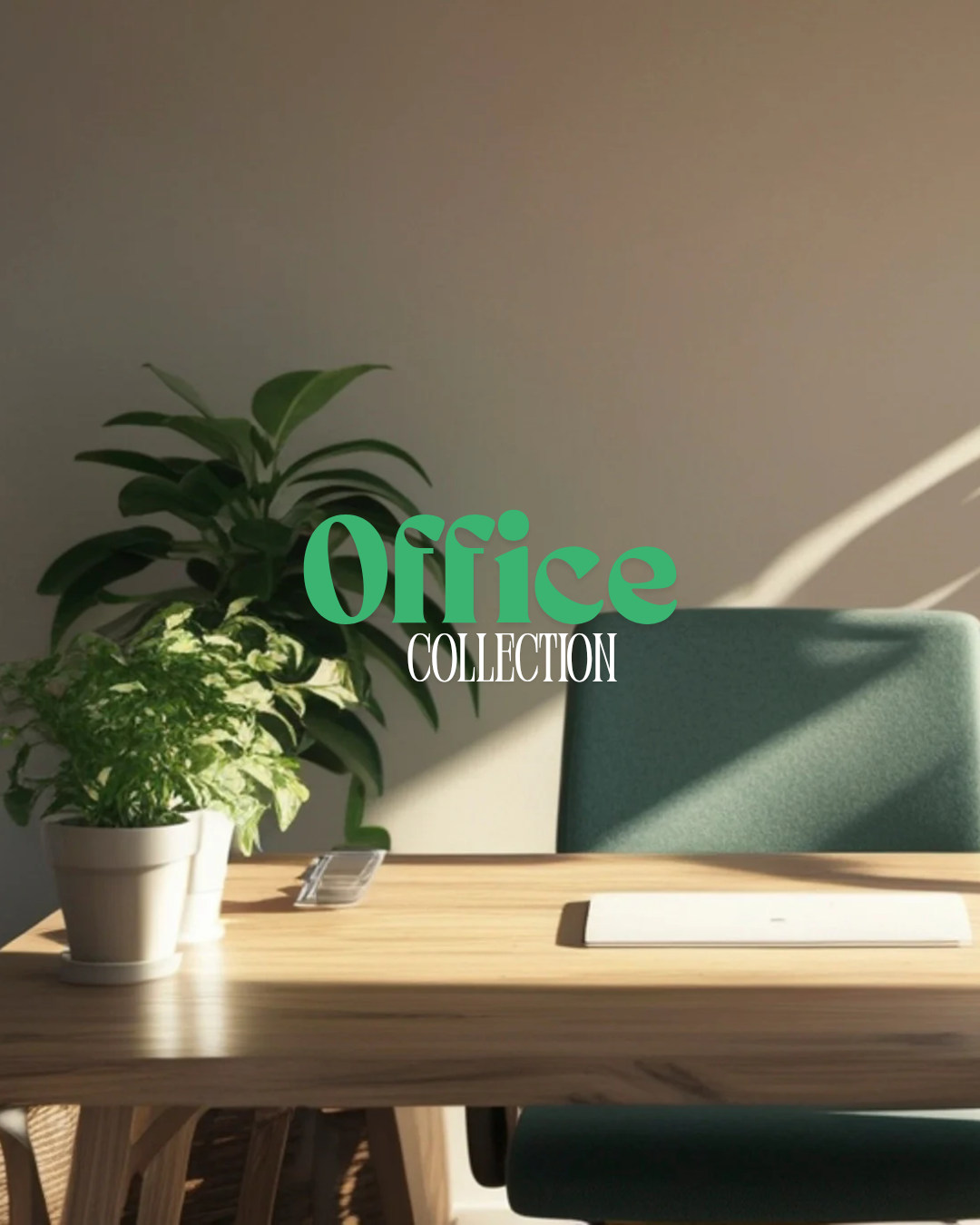 Plants for your Office