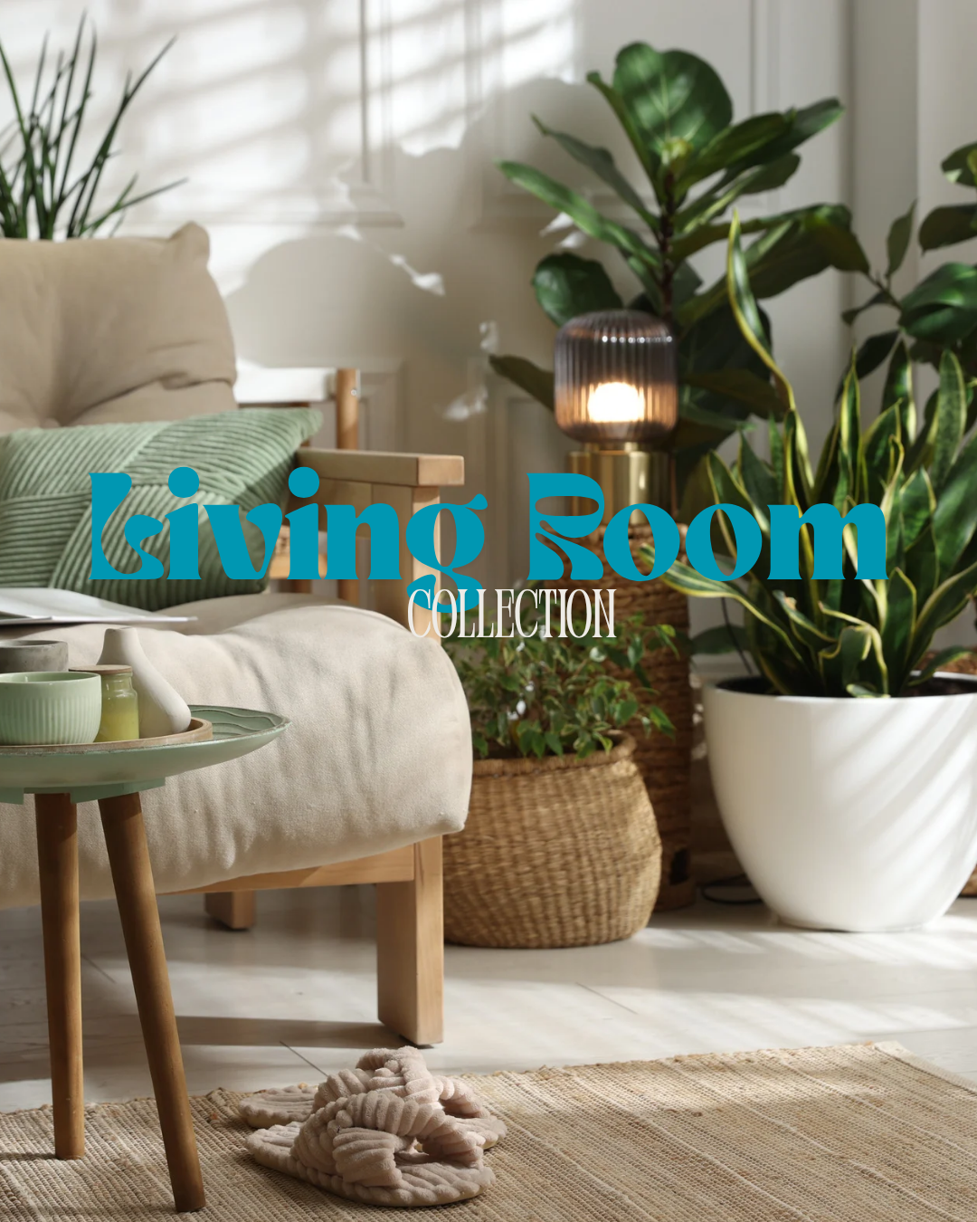 Plants for your Living Room