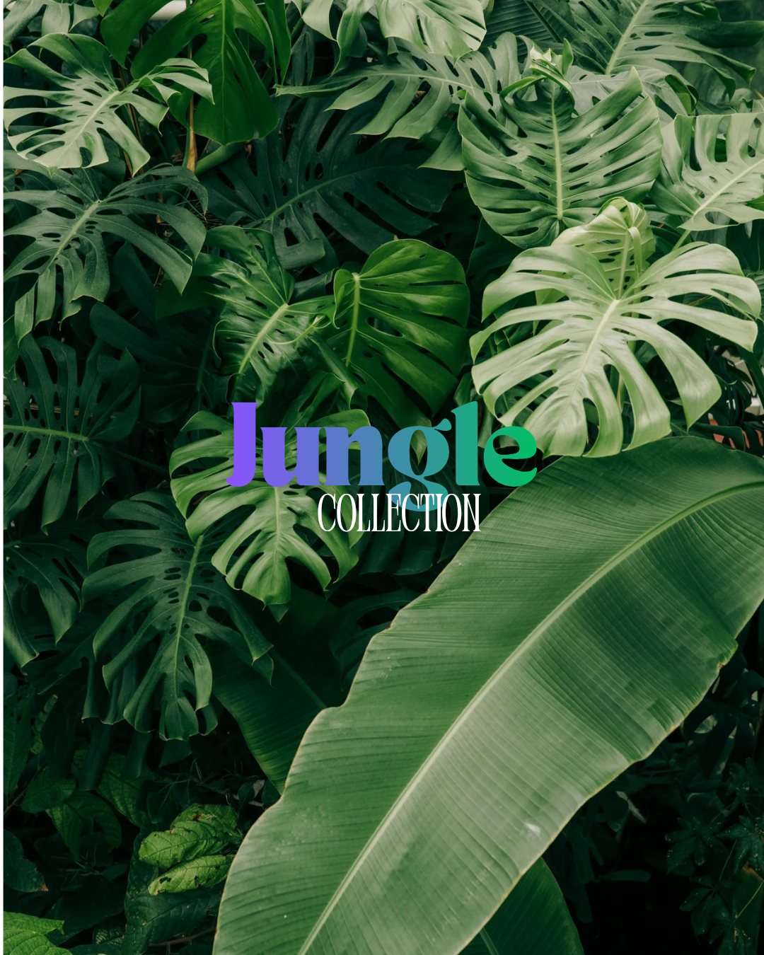 Indoor Jungle