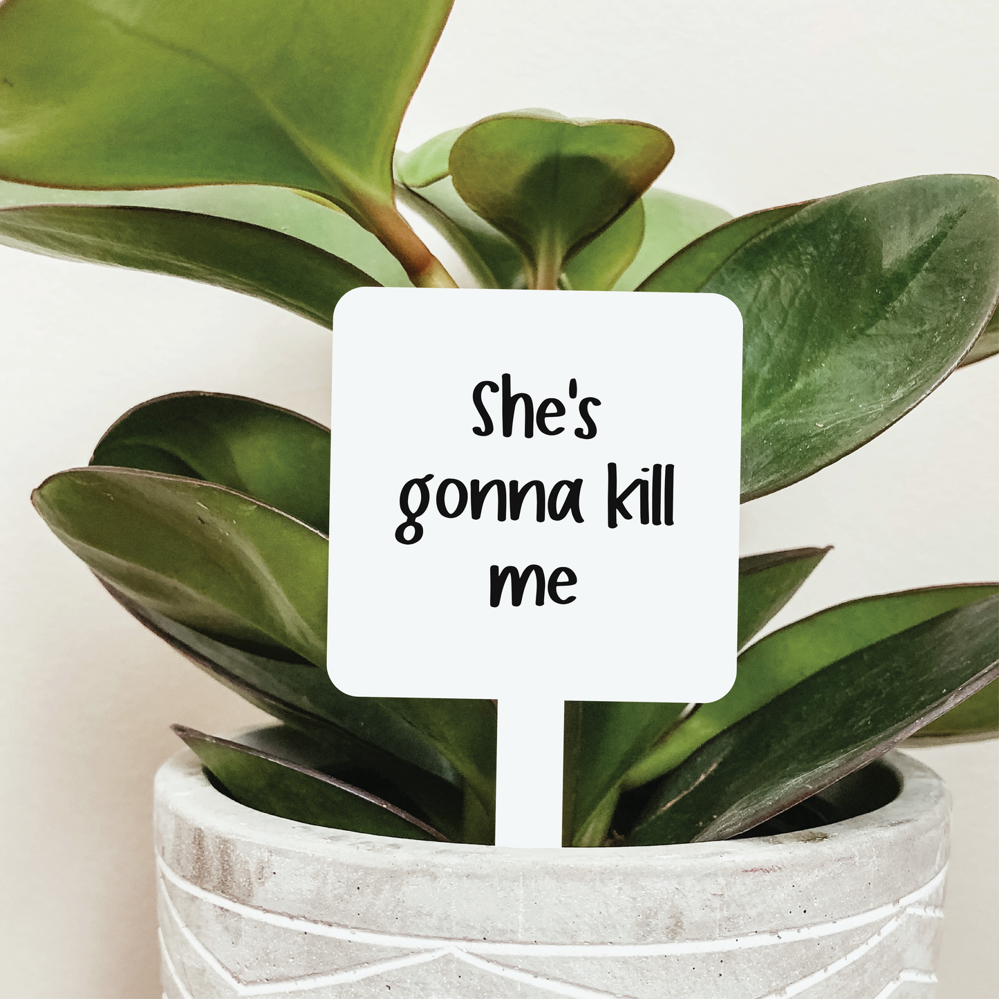 She's Gonna Kill Me Plant Stake
