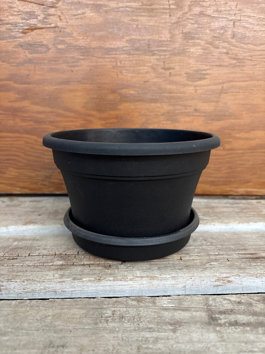 Libby Pot