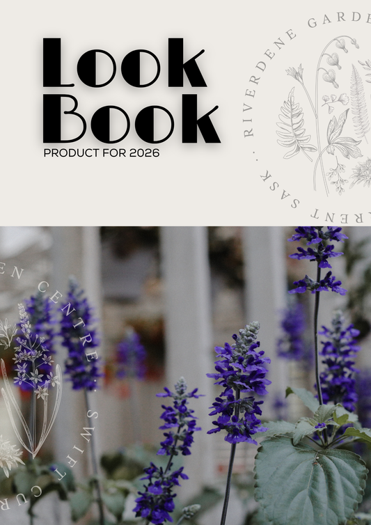 2026 Riverdene Garden Centre Look Book