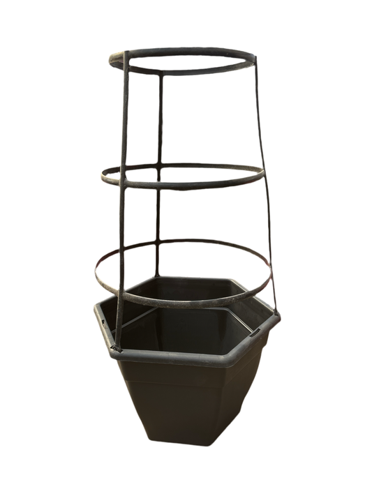 13” Hexagon Planter with cage