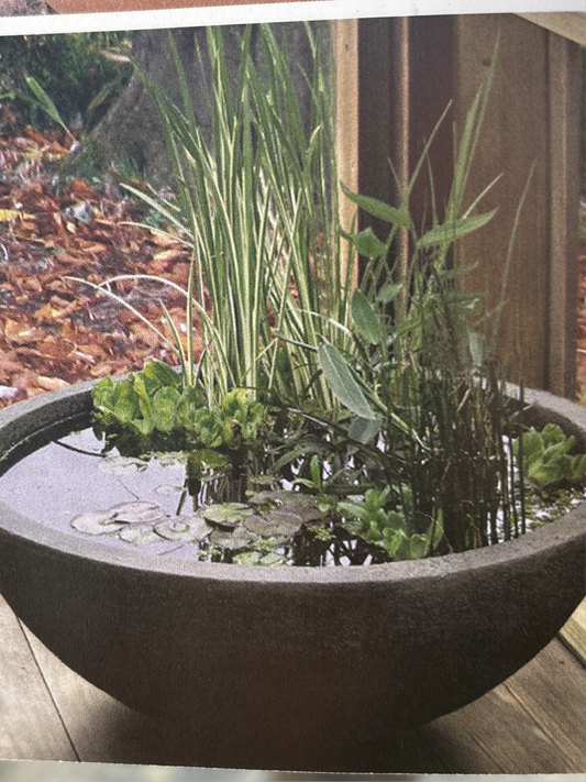 Aquascape Green Slate 32” Patio Pond