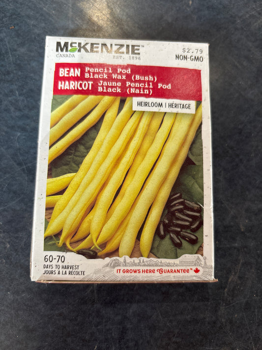 Pencil Pod Black Wax (bush) Bean Seed