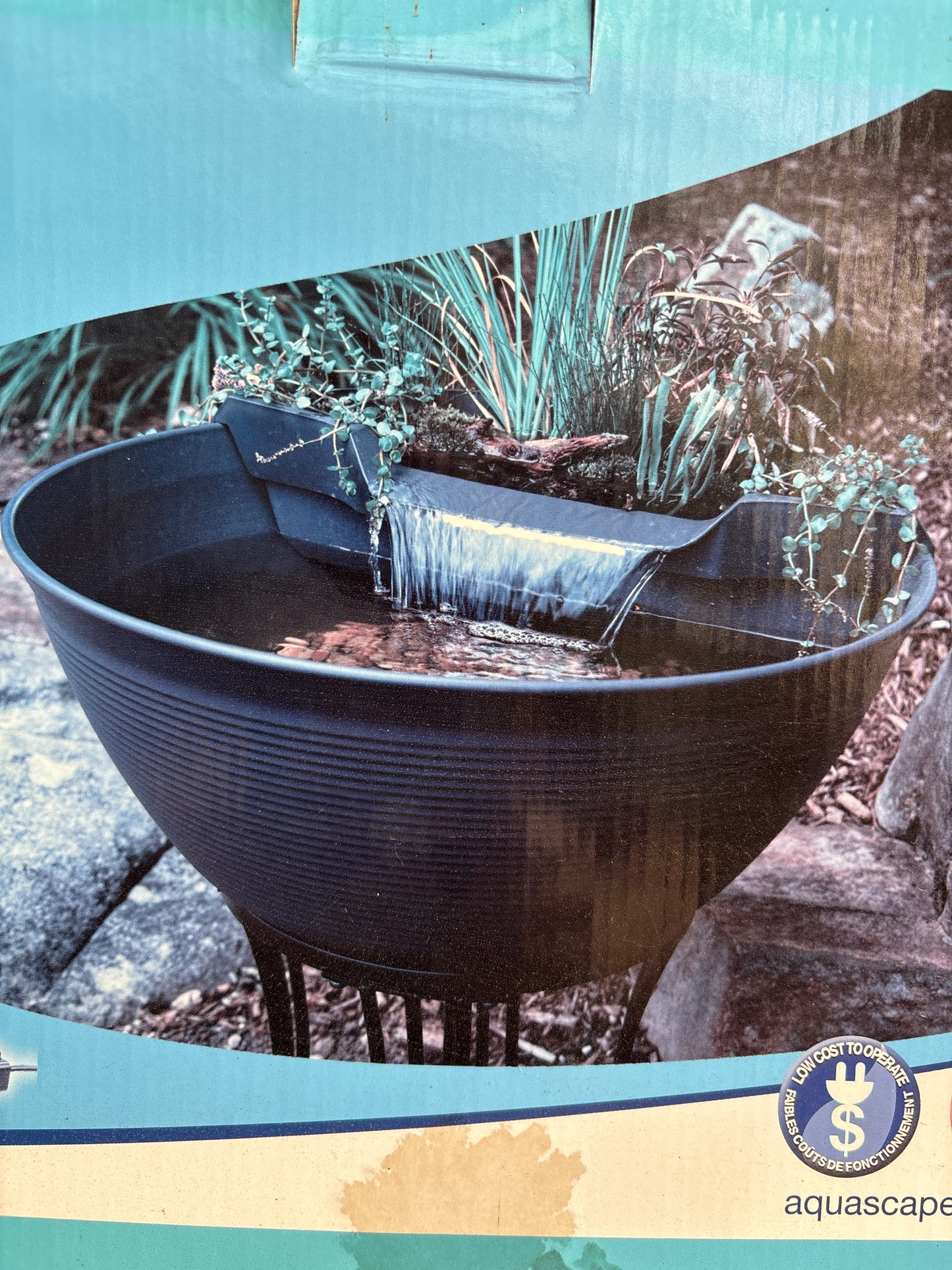 Aquascape mini pond kit