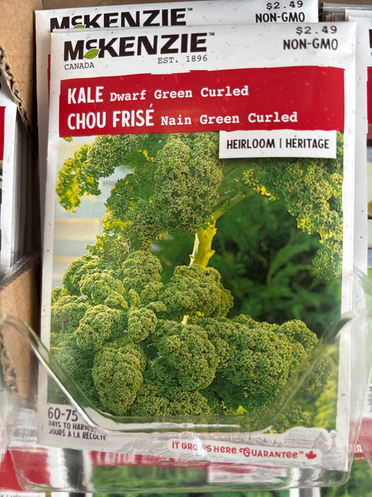 Kale dwarf green curls