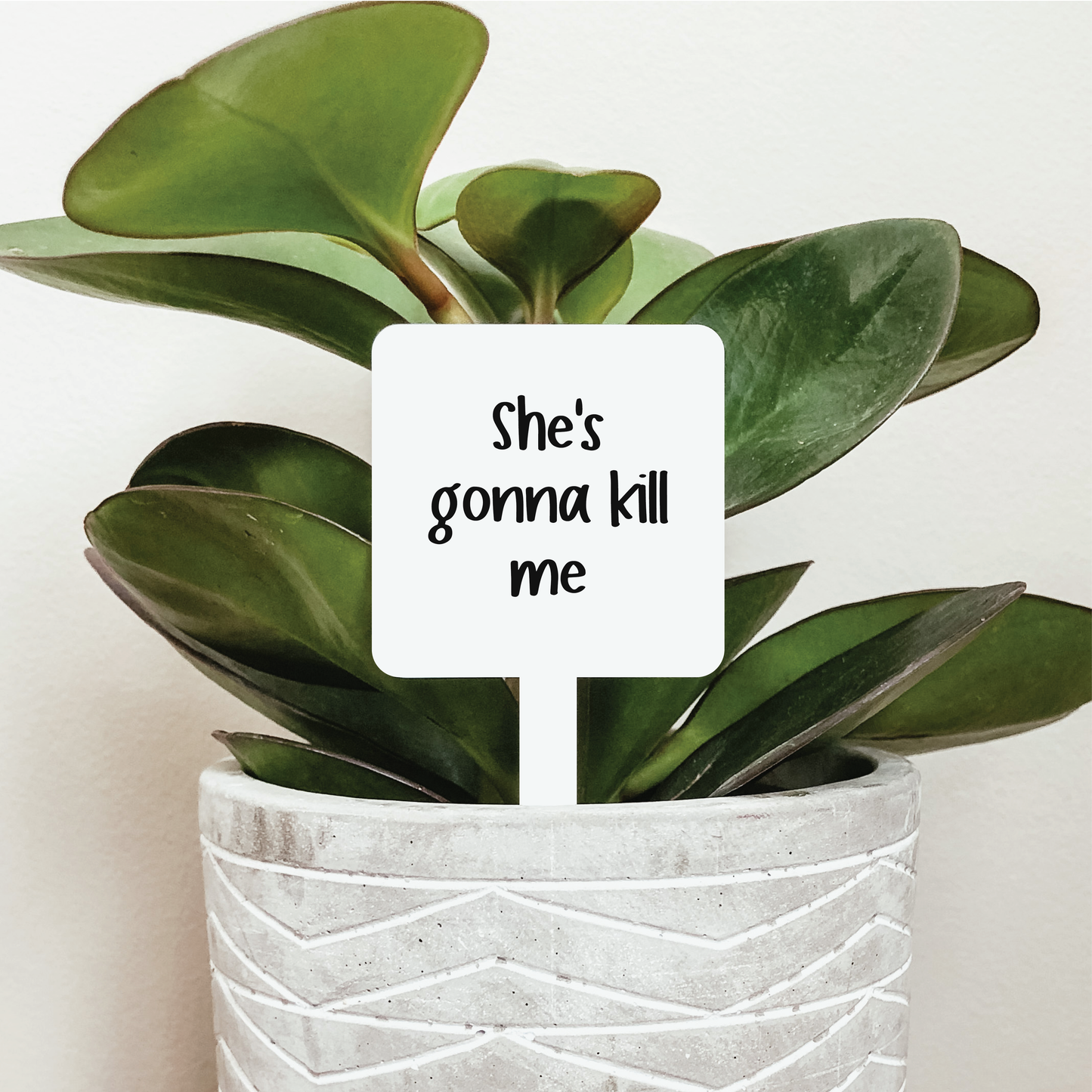 She's Gonna Kill Me Plant Stake