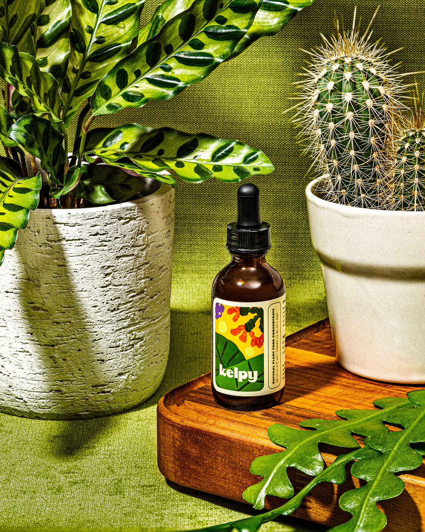 Kelpy Plant Food 59 ml / 2 fl oz