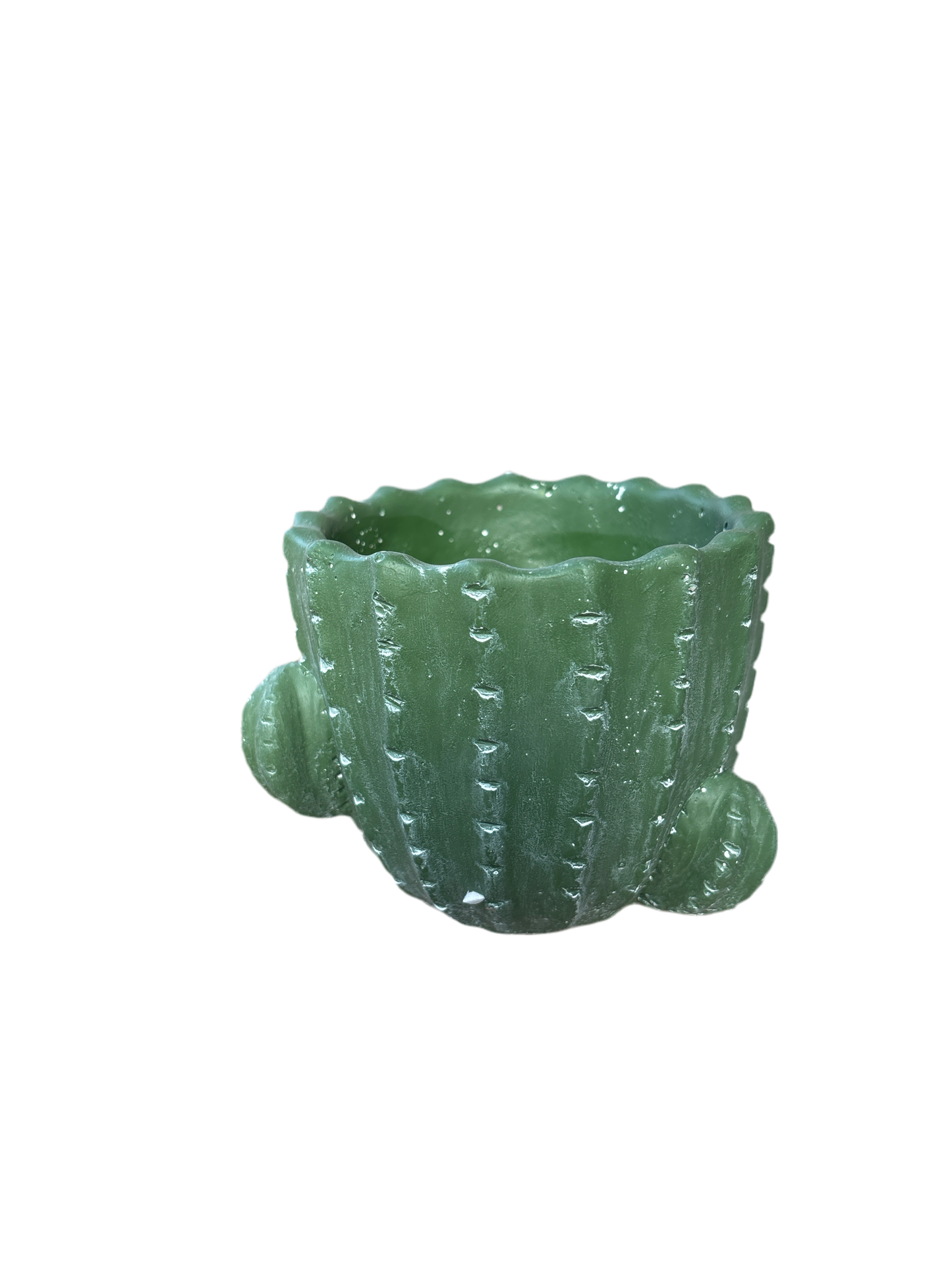 Cactus planter