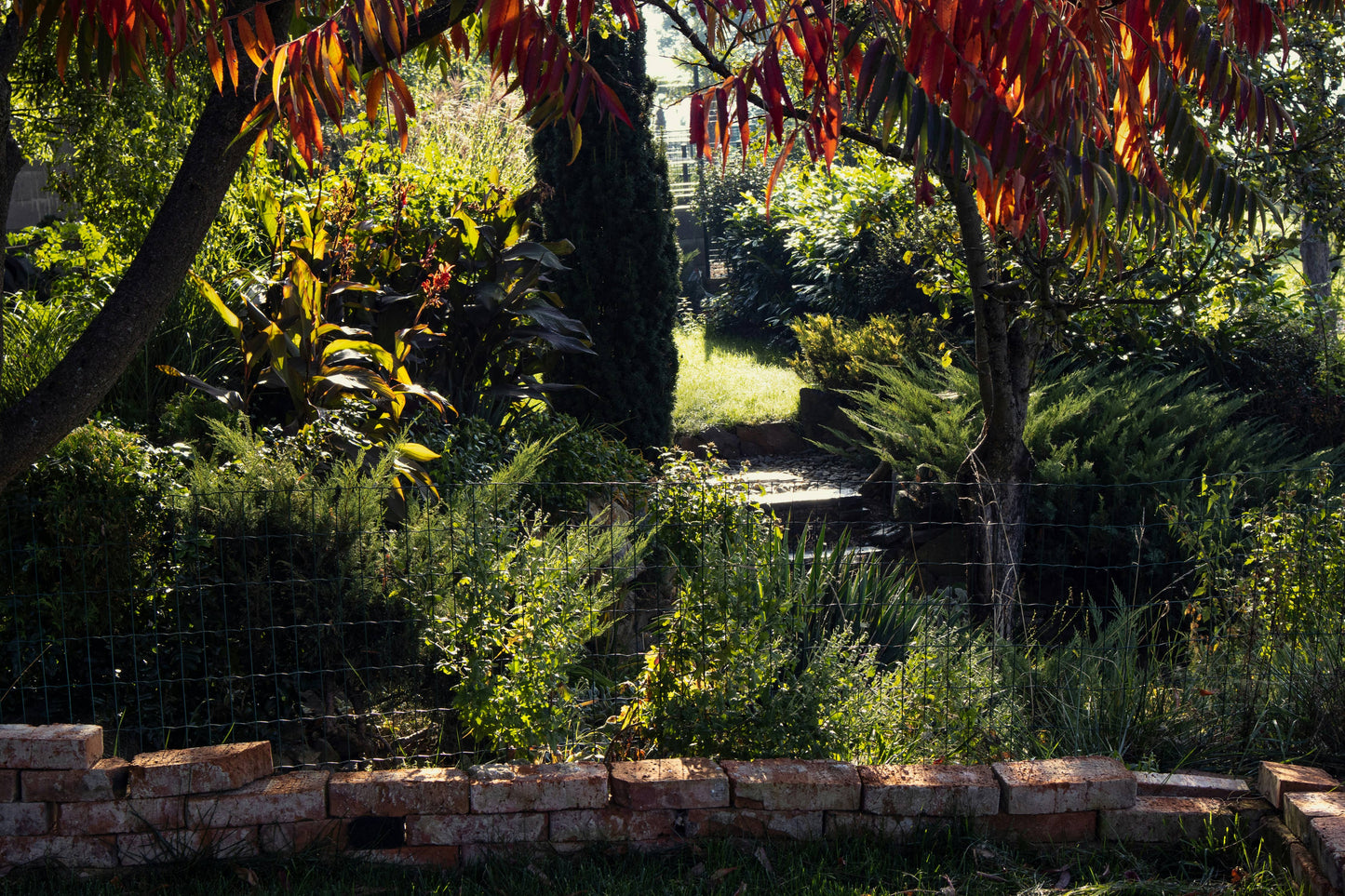 Fresh Fig + Cedar 8oz Candle 4oz Travel Candle: 4oz