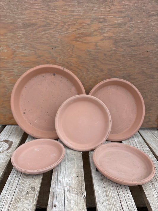 Terra cotta saucers