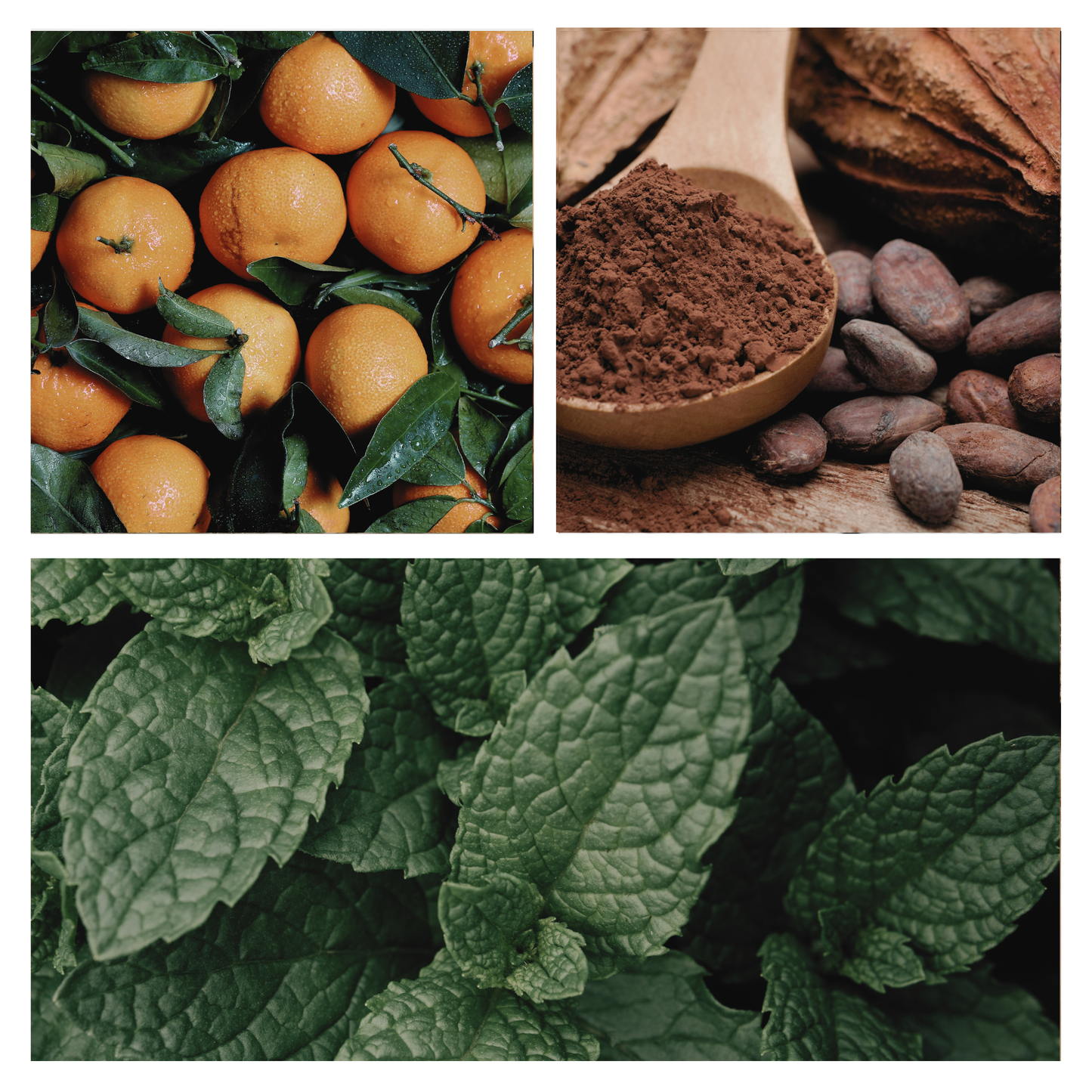 Be Festive Simmer Pot Mix, Natural Peppermint Cocoa Spice Aroma