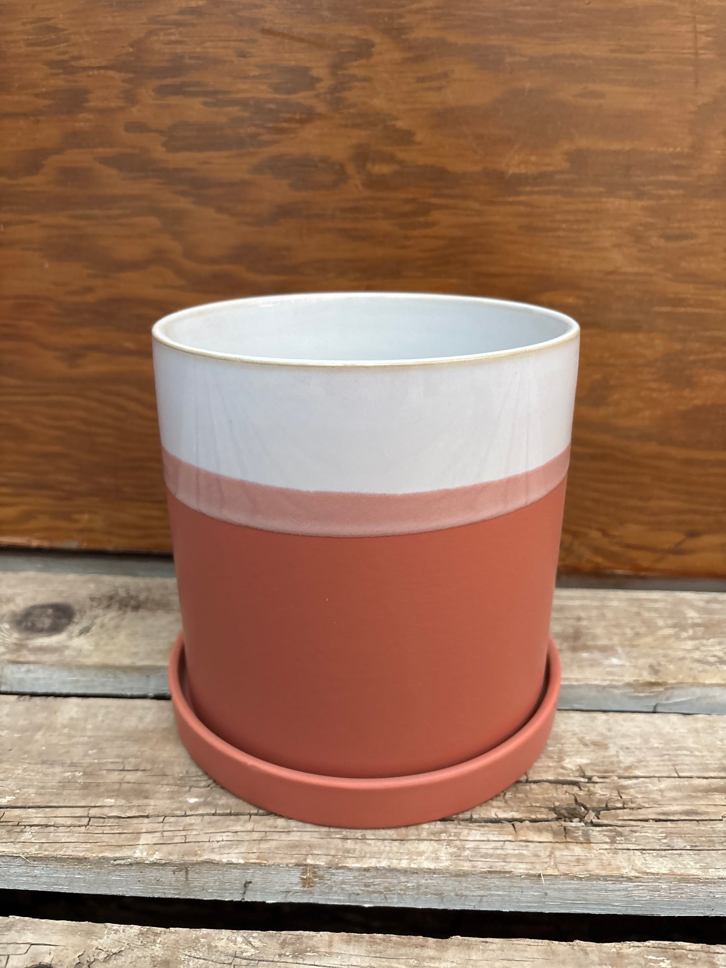 White and Terracotta Pot
