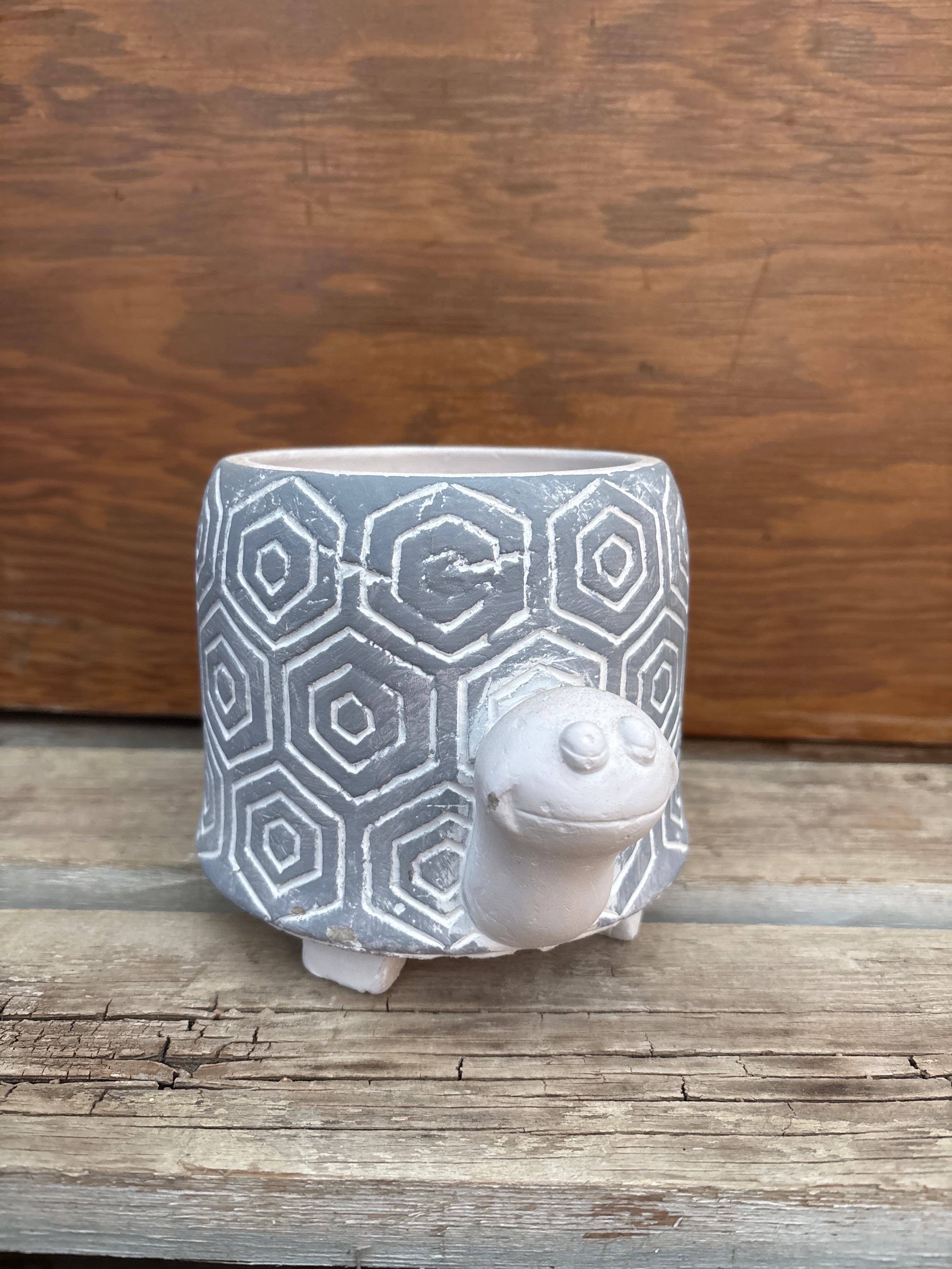 Turtle Shell Pot Turtle Pot – Riverdene Garden Centre
