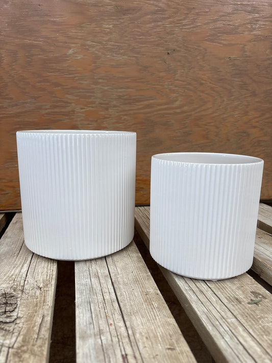 Evelyn Planter