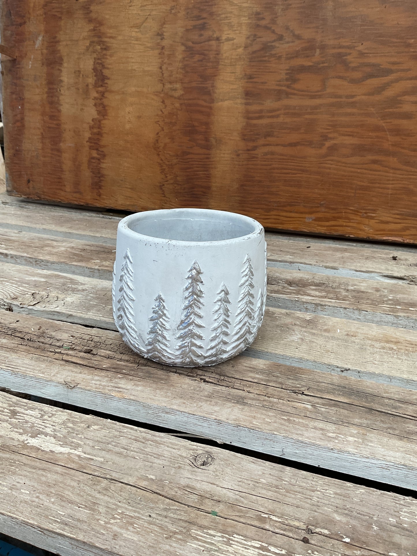 Silver Tree Ceramic Pot 5”