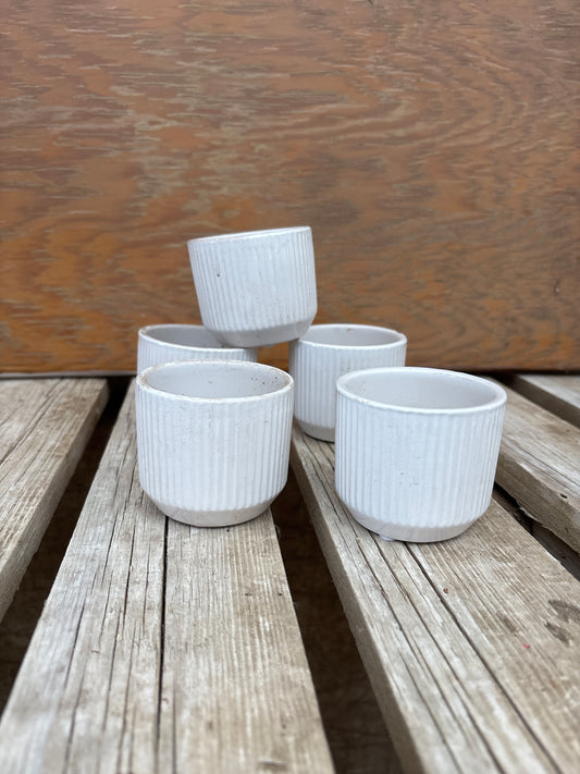 2 3/4” White Succulent/Starter Pot