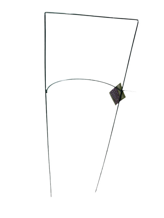 Double Ring Plant Support