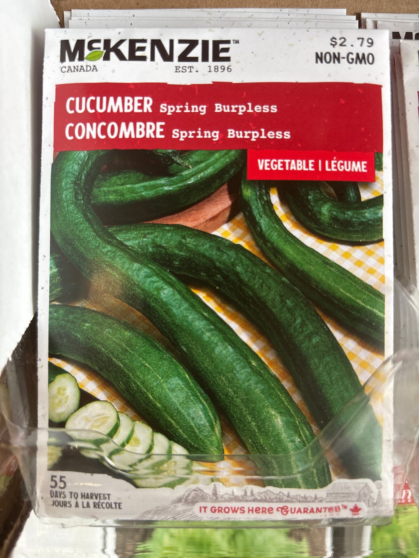 Cucumber spring burpless