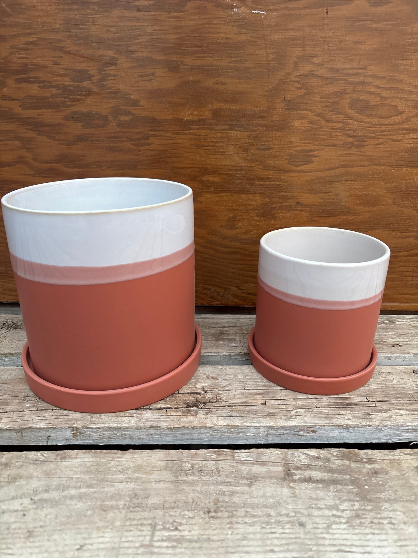 White and Terracotta Pot