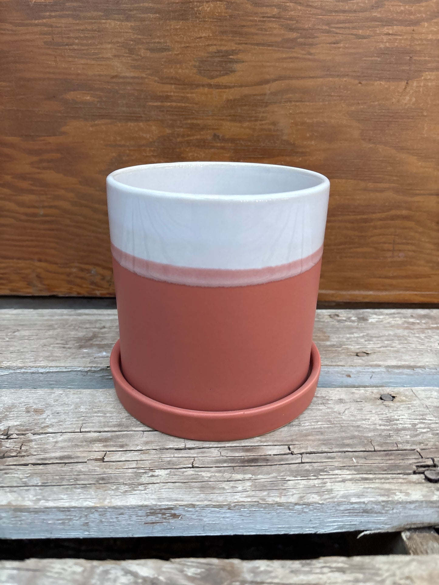 White and Terracotta Pot
