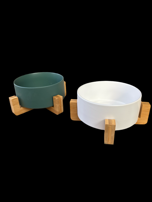 Succulent saucer with stand