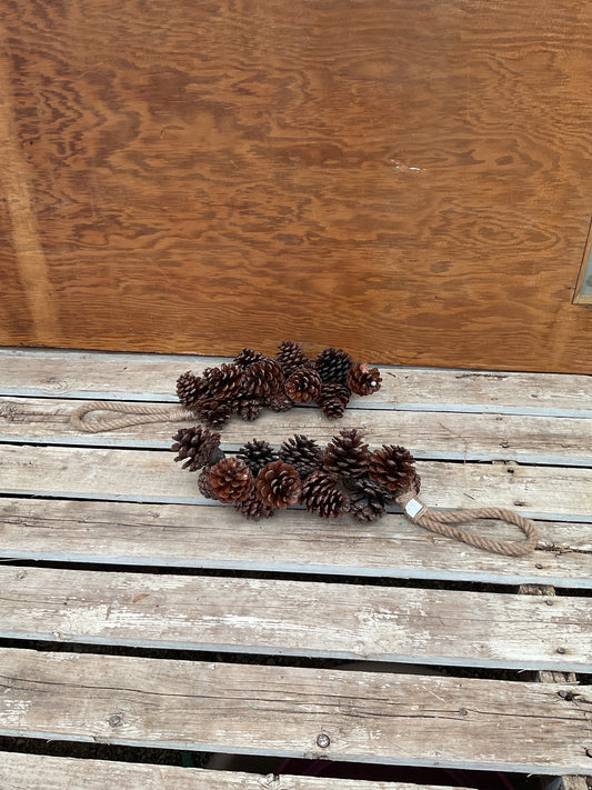 Hanging Pinecone Cluster