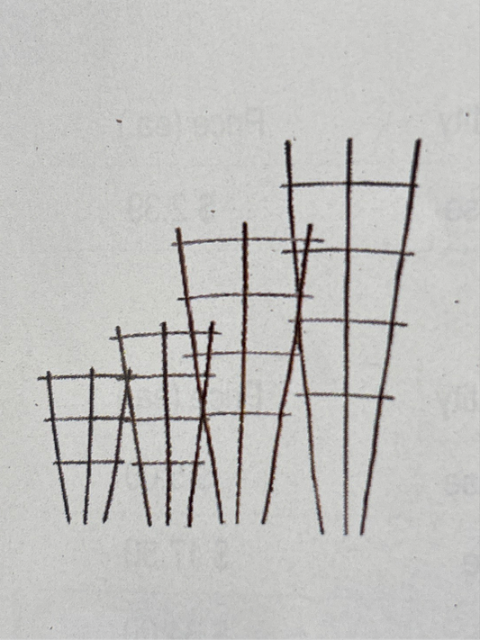 Bamboo fan trellis
