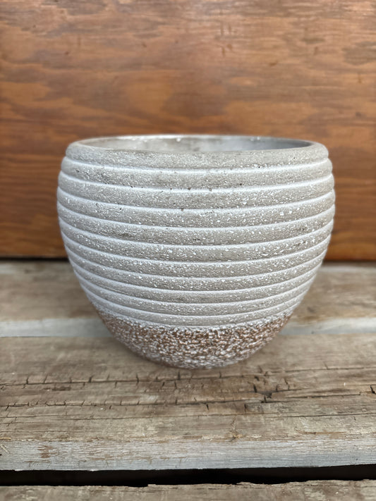 Arlo Pot