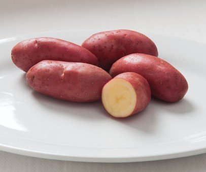 French Fingerling Potato Seed