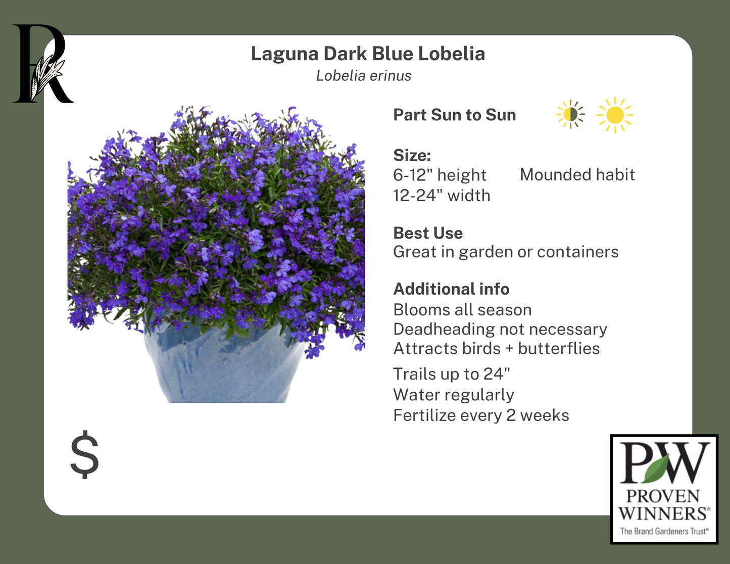 Laguna Dark Blue Lobelia (PW)