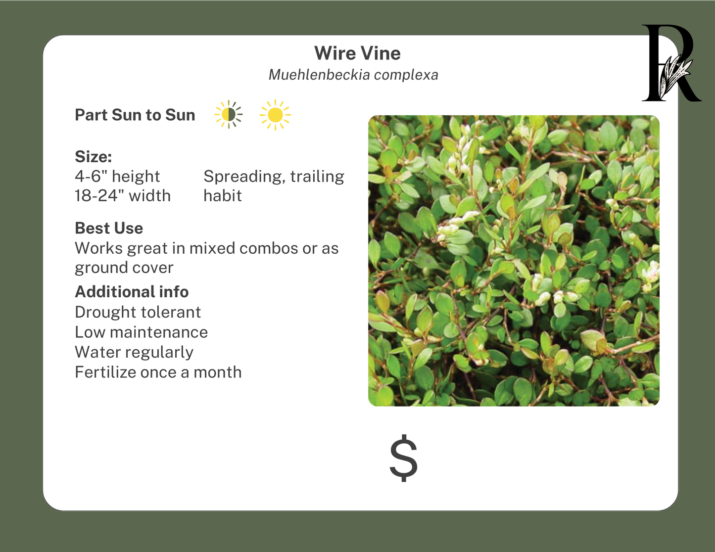 Wire Vine