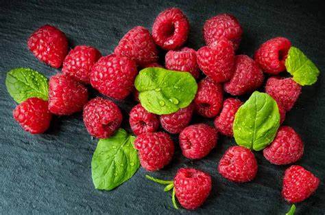 'Boyne' Raspberry