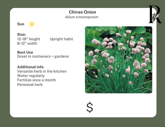 Chives Onion