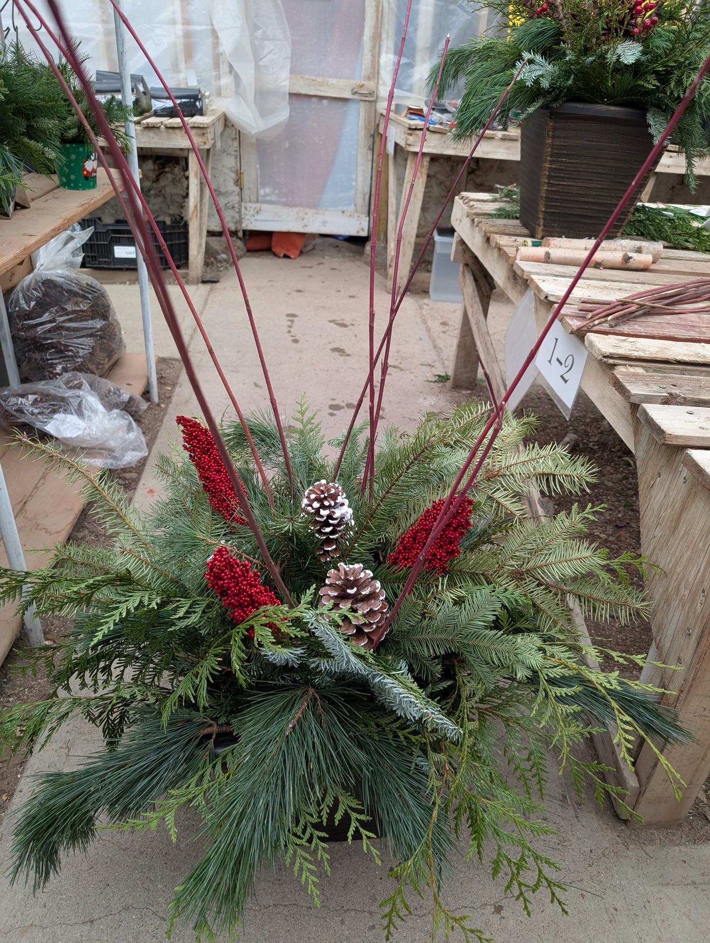 November 27, 2025 - PORCH PLANTER CLASS
