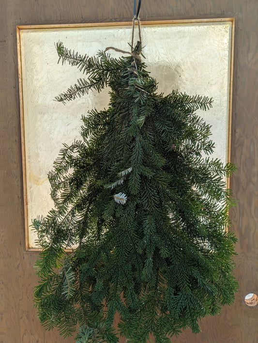 Holiday Greens - Noble Fir
