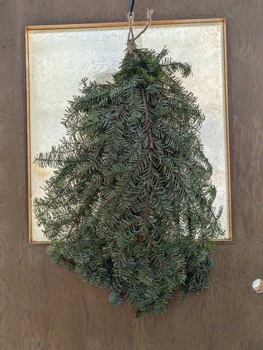 Holiday Greens - Silver Fir